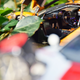 Illustration for article titled McLaren Monday: UT Models McLaren F1 GTR